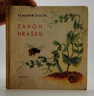 záhon hrášku