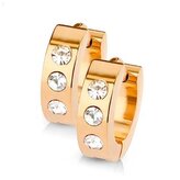 OPN1214-RD Ocelové náušnice - zlacené kroužky se zirkony