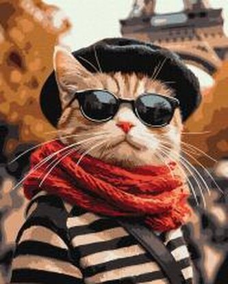 Malowanie po numerach - Puszysty w Paryżu 40x50cm