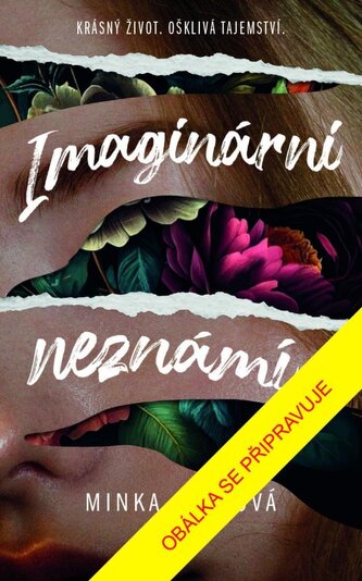 Imaginární neznámí