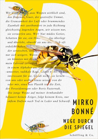 Wege durch die Spiegel