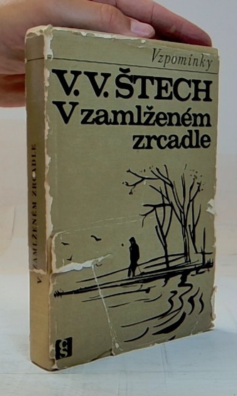 V zamlženém zrcadle