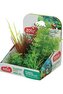 Rostliny akvarijní PLANTKIT 2 sada MINI 4ks Zolux