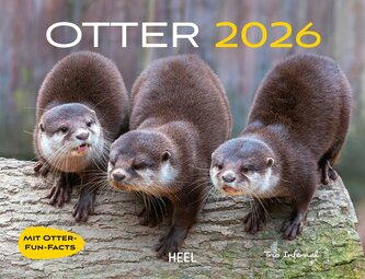 Otter Kalender 2026 Wandkalender Eintragkalender