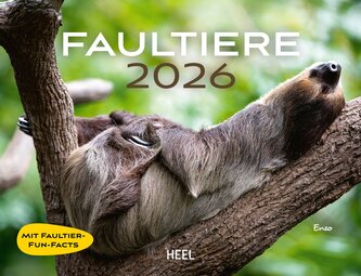 Faultiere Kalender 2026 Wandkalender