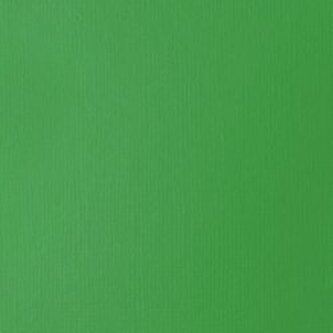 Akrylová barva Basics Fluid 118ml – 312 Light Green Permanent