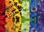 RAVENSBURGER Puzzle Květinové vzory 500 dílků