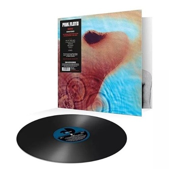 Pink Floyd:  Meddle