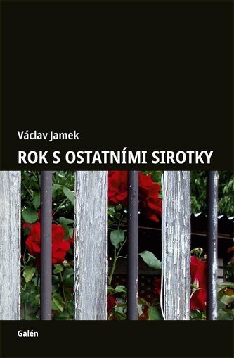 Rok s ostatními sirotky Rok s ostatními sirotky