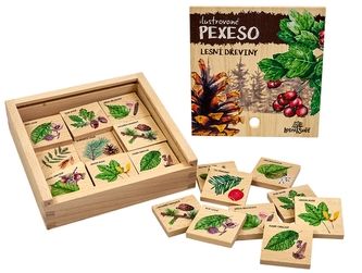 Lesní svět Pexeso klasické - Lesní dřeviny