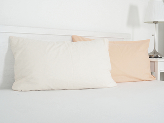 B.E.S. - Petrovice, s.r.o. Povlak na visco polštář DOUBLE bavlna popelín 45x75 cm - meruňková/popelavá