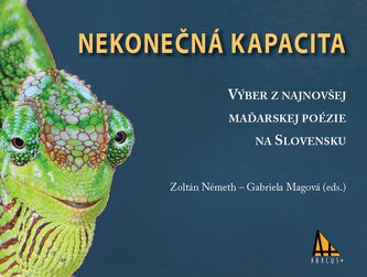 Nekonečná kapacita Nekonečná kapacita