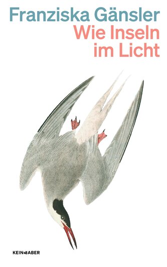 Wie Inseln im Licht