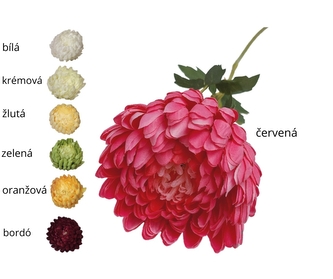 Chryzantéma bílá 70 cm