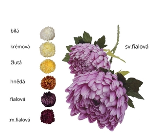 Chryzantéma sv. fialová 70 cm