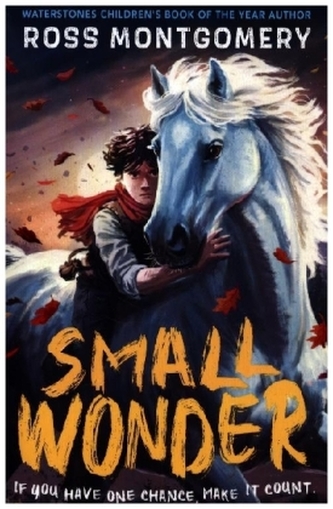 Small Wonder
