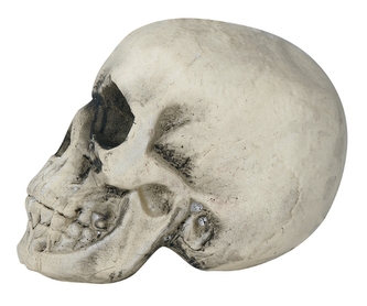 Dekorace pěnová lebka 22 cm