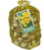 Síťka -  XXL - Narcis - Botanical Yellow ( 80 cibulí )