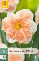 Karta - Narcis - Apricot Whirl (5 cibulí) "C+"
