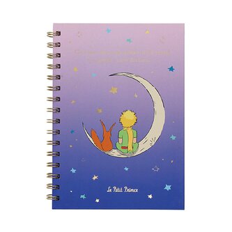 MALÝ PRINC Narozeninový zápisník A5 PPADANA507G01