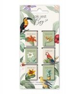 Zakładki Magnetyczne - Jaki jest Bóg - Ptaki