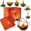 Dárkový set Creano White Tea - skleněná konvice a 6 ks čaje