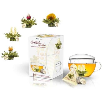 Dárkový set Creano Teelini White Tea - skleněný šálek a 8 ks čaje Dárkový set Creano Teelini White Tea - skleněný šálek a 8 ks čaje