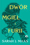 Dwór mgieł i furii. Dwór cierni i róż. Tom 2 wyd. 2025