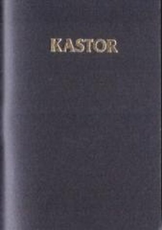 Kalendarz 2026 plastik MIX