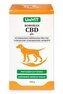 Roboran CBD plv 100g
