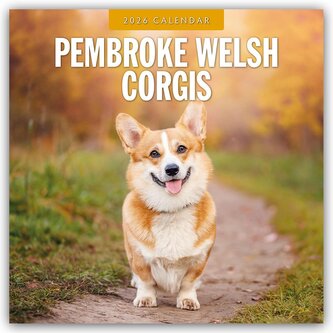 Pembroke Welsh Corgis - Pembroke Welsh Corgi 2026 - 16-Monatskalender