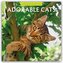 Adorable Cats - Liebenswerte Katzen 2026 - 16-Monatskalender