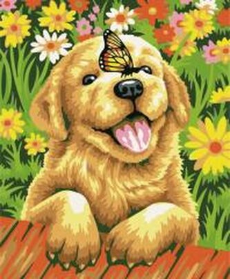 Malowanie po numerach 40x50cm Piesek z motylem Malowanie po numerach 40x50cm Piesek z motylem