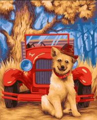 Malowanie po numerach 40x50cm Piesek w kapeluszu Malowanie po numerach 40x50cm Piesek w kapeluszu