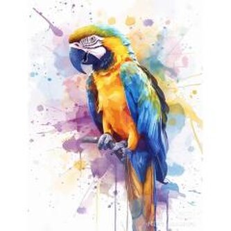 Malowanie po numerach 40x50cm Papuga Malowanie po numerach 40x50cm Papuga