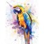 Malowanie po numerach 40x50cm Papuga