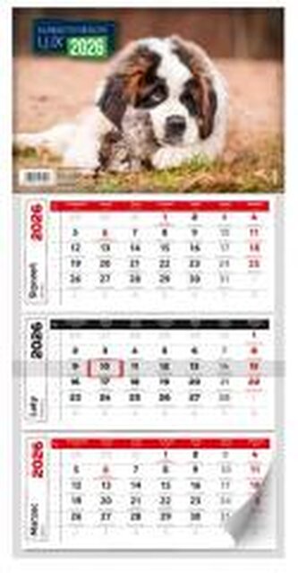 Kalendarz 2026 miesięczny lux