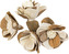 Dekorace - Sola Fancy Flower 6 cm - 50 ks