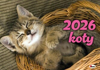 Kalendarz 2026 albumowy Koty KA2