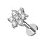 LB053 Labreta - piercing do brady kytička