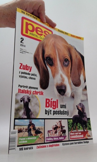Pes přítel člověka 2/2014 Bígl