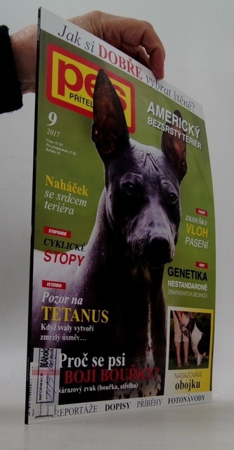 Pes přítel člověka  9/2017 Americký bezsrstý teriér