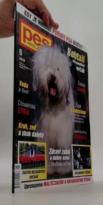 Pes přítel člověka 6/2018 Bobtail