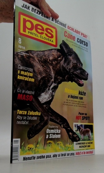 Pes přítel člověka 8/2018 Cane corso