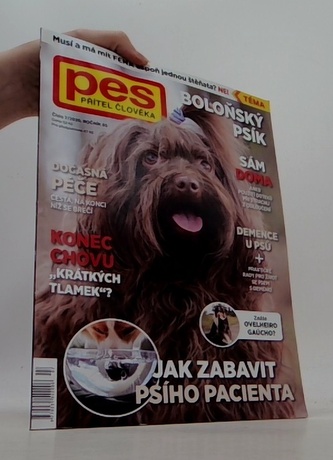 Pes přítel člověka 7/2020: Jak zabavit psího pacienta