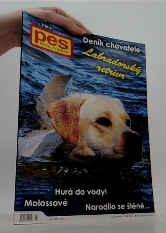 Pes přítel člověka 7/2010: Labradorský retvír