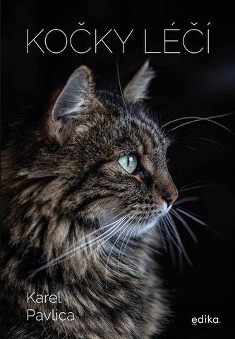 Kočky léčí