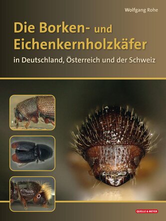 Die Borkenkäfer Deutschlands, Österreichs und der Schweiz Die Borkenkäfer Deutschlands, Österreichs und der Schweiz