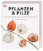 DK Bibliothek. Pflanzen & Pilze