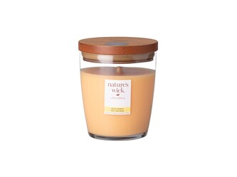Nature's Wick Tumbler střední Wild Honey